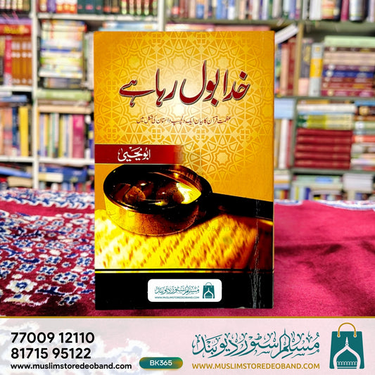 Hamare Zamane Ki Dilli