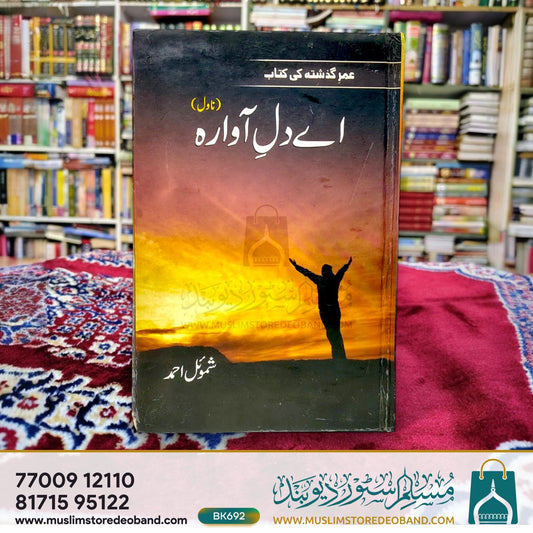 Ae Dil-e-Aawara (Novel)