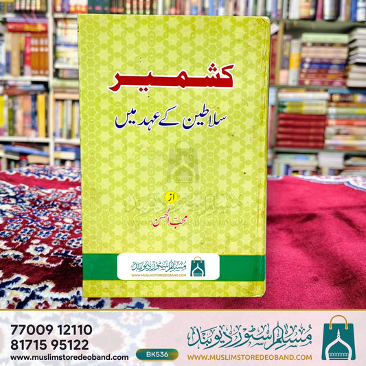 کشمیر سلاطین کے احد میں