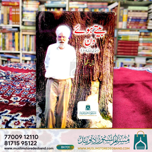 Beete Huye Din (Meri Zindagi Ka Safar)