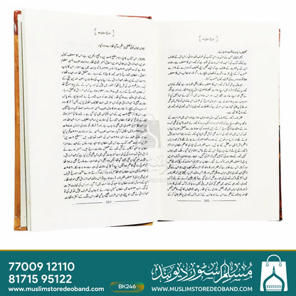تاریخ اسلامی ہند