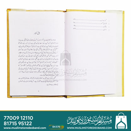 Fauladi Aansu
