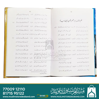 Iqbal Ke Islami Mauzuaat