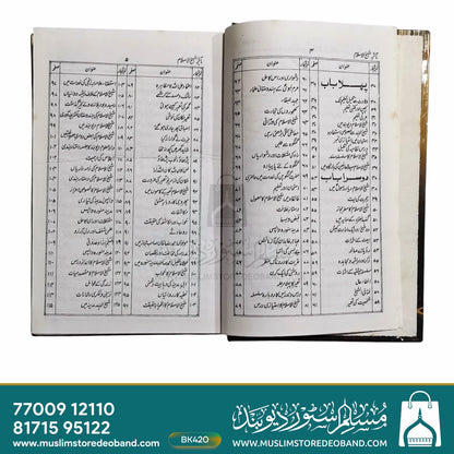 مسرور شیخ الاسلام (مجاہد حضرت مولانا سید احمد مدنی کی مثالی زندگی اور کارنامے)