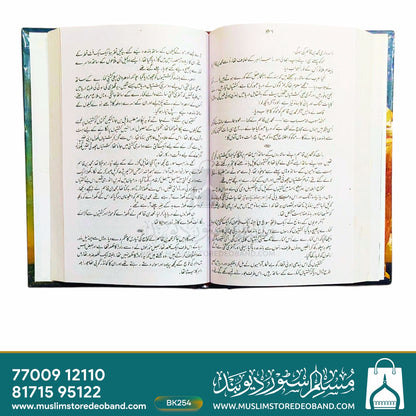 Sitara Jo Toot Gya (Muhammad Bin Qasim)
