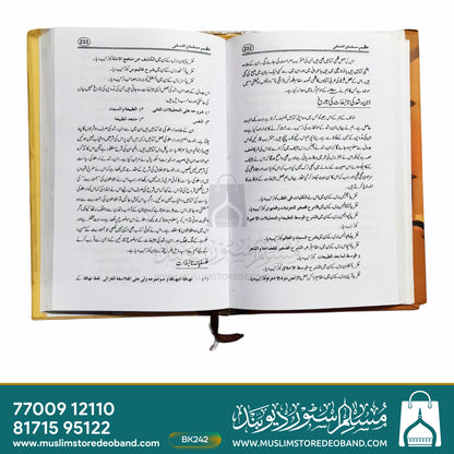تاریخ فلسفہ اسلام
