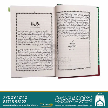 Hujjatul Islam Maulana Muhammad Qasim Nanautvi - Hayat aur Karname