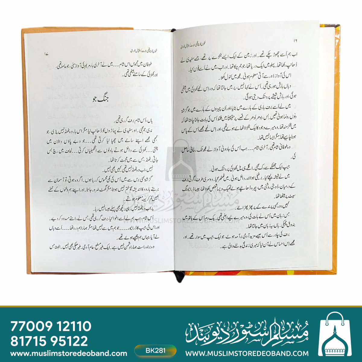 ٹکون کی چوتھی جیت (گرد کا طوفان)