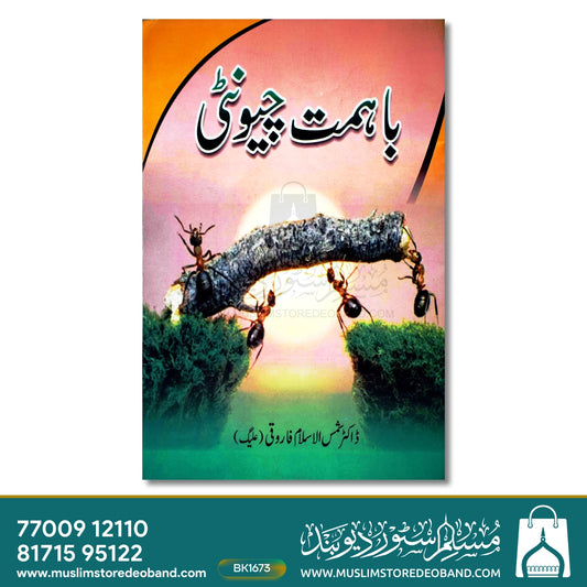Ba Himmat Cheenti