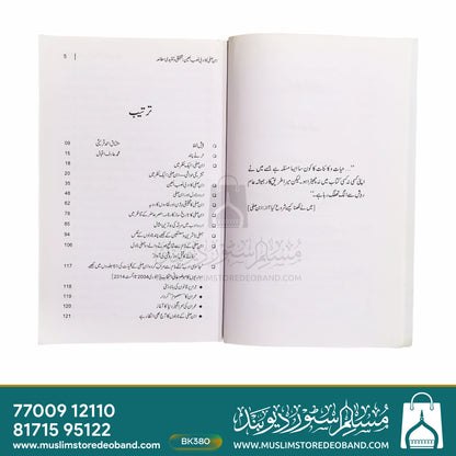 Ibn e Safi Ka Adabi Nasab ul Ayein