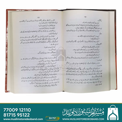 تاجم سلطان (ناول)
