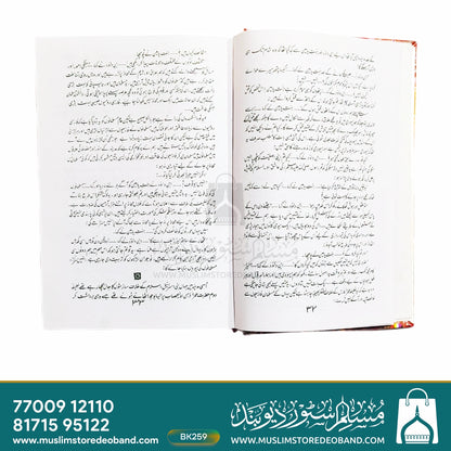 Hijaz Ki Aandhee
