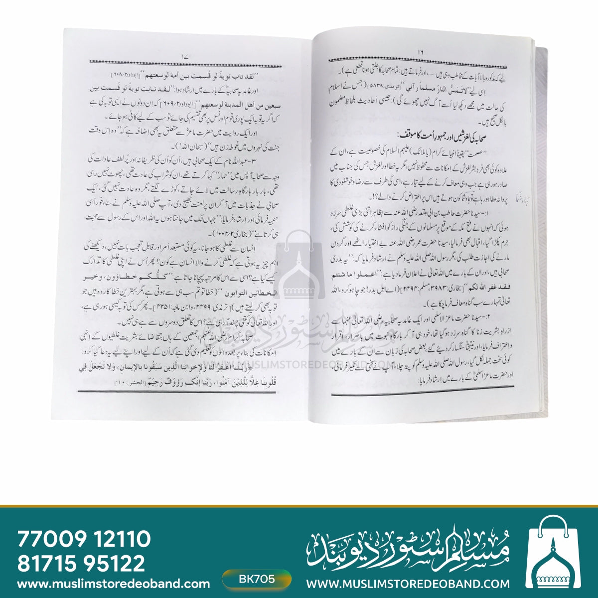 Hurmat-e-Sahaba (Haqaiq aur Dalail ki Roshni Mein)