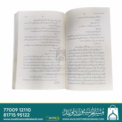 Kulliyat-e-Khwaja Ahmed Abbas - 2nd Volume