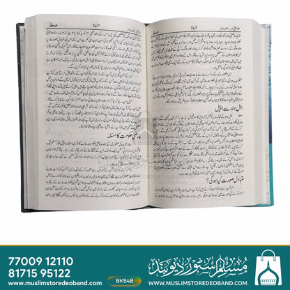 علمائے حق اور ان کے مجاہدانہ کارنامے - 2 جلدیں۔