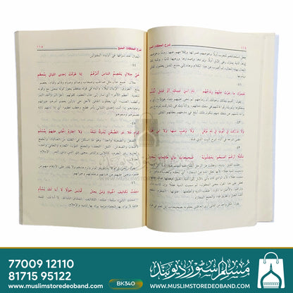 شرح الملیقات السبس