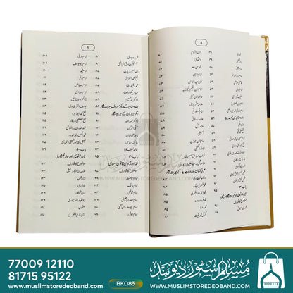 Mashaheere Uloome Islamiya Aur Mufakkireen Wa Musliheen