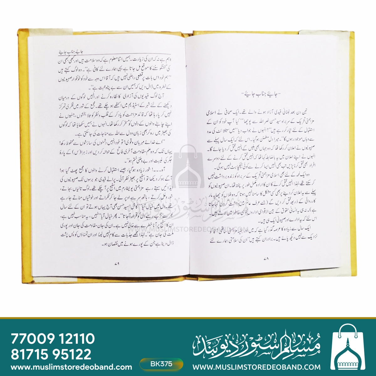 Fauladi Aansu