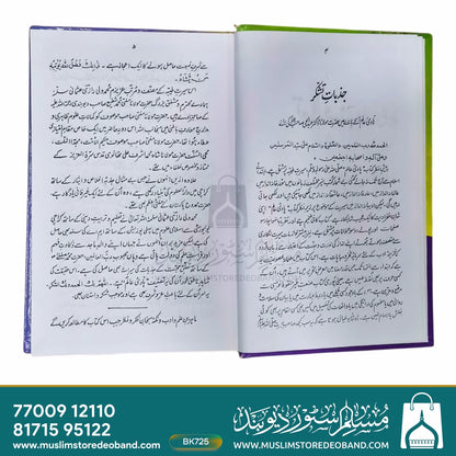 Hadi-e-Aalam