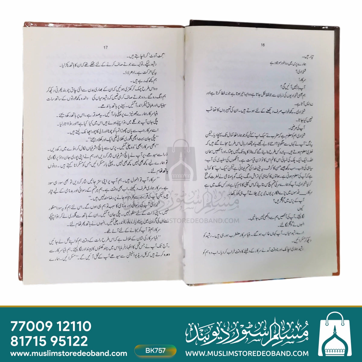 تاجم سلطان (ناول)