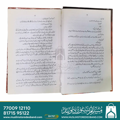 تاجم سلطان (ناول)