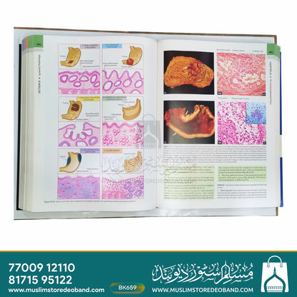Textbook of Pathology - 8th Edition