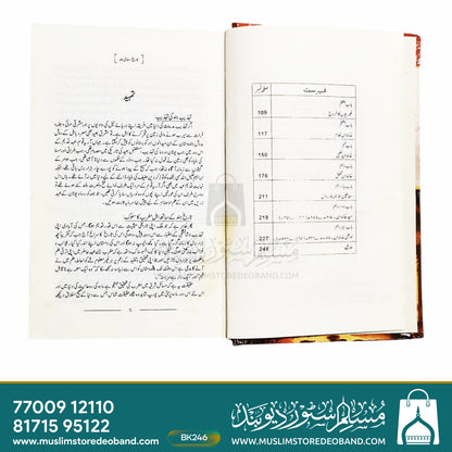 تاریخ اسلامی ہند