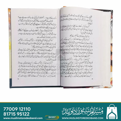 Daastan-e-Mardan-e-Hur