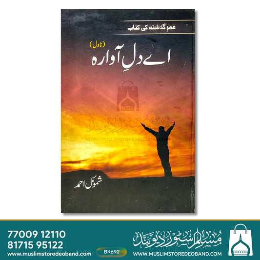 Ae Dil-e-Aawara (Novel)
